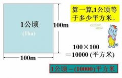 一公顷等于多少平方米及一亩等于多少平方米？面积单位换算